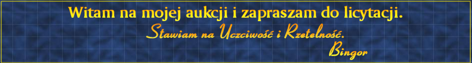 Witam na mojej aukcji i zapraszam do licytacji. Bingor